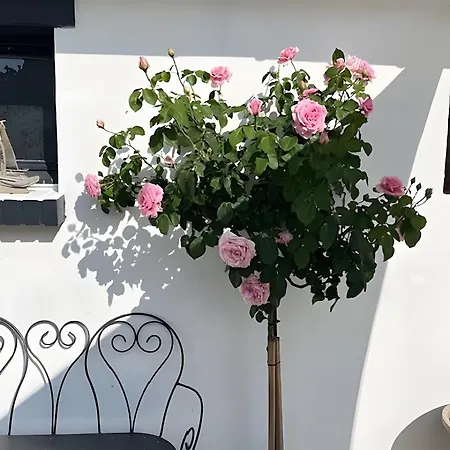 Le Pré Salé Hébergement de vacances Boismont (Somme)